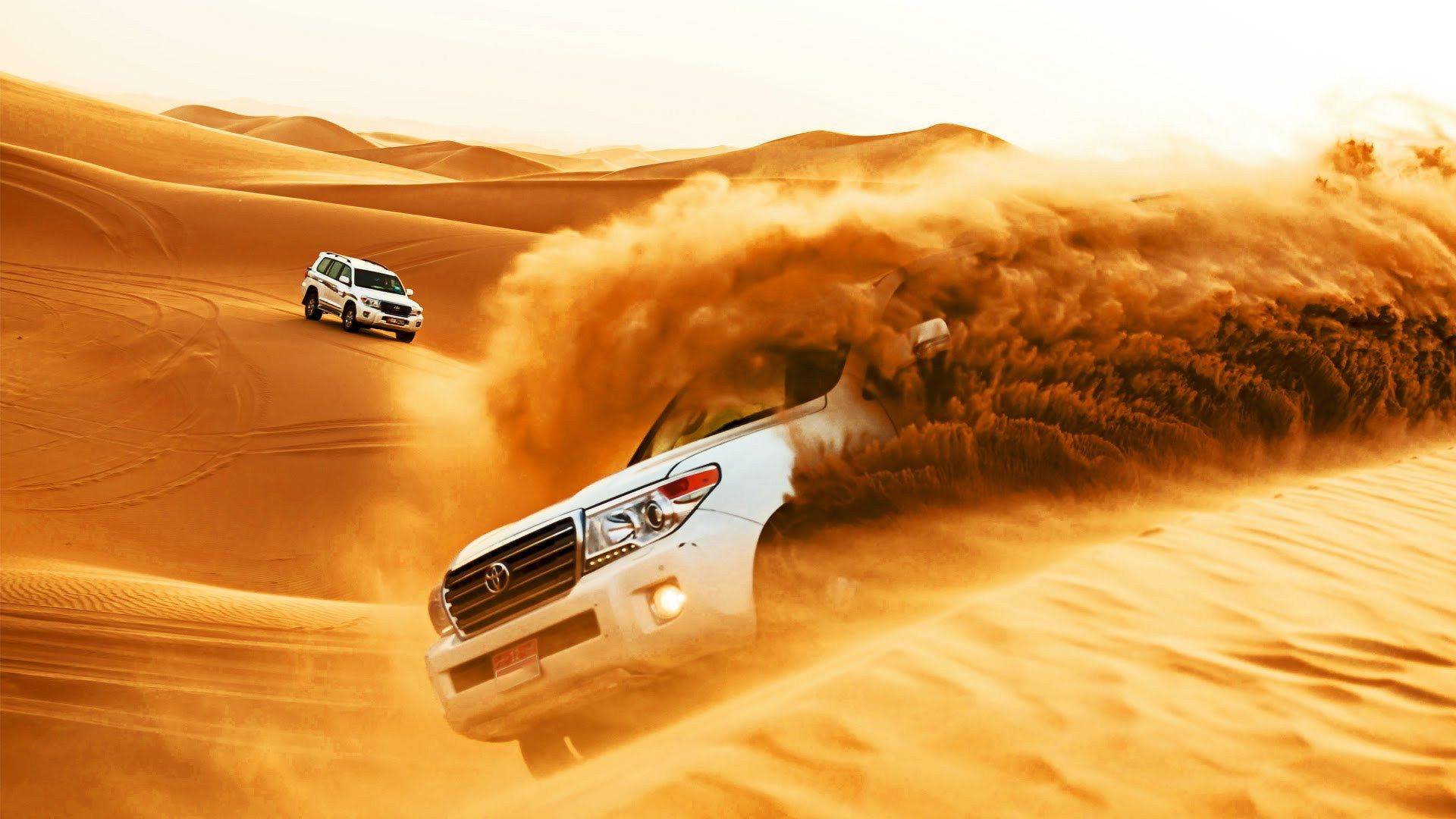 Evening Desert Safari in Dubai