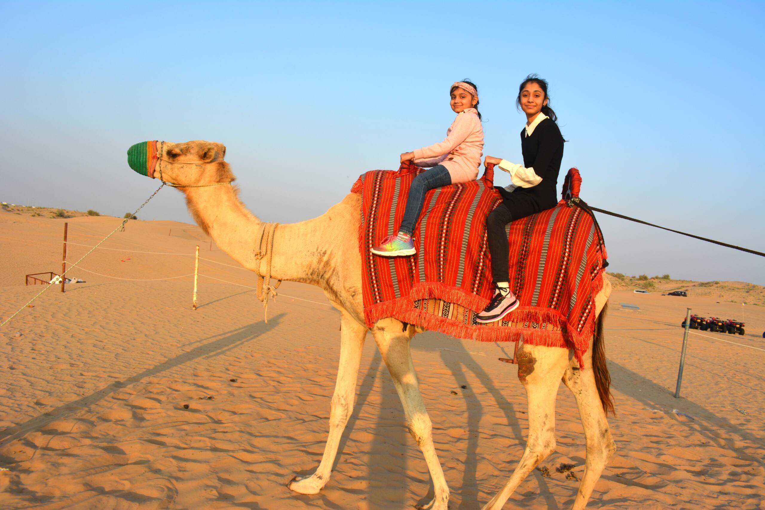 Camel Trekking Dubai