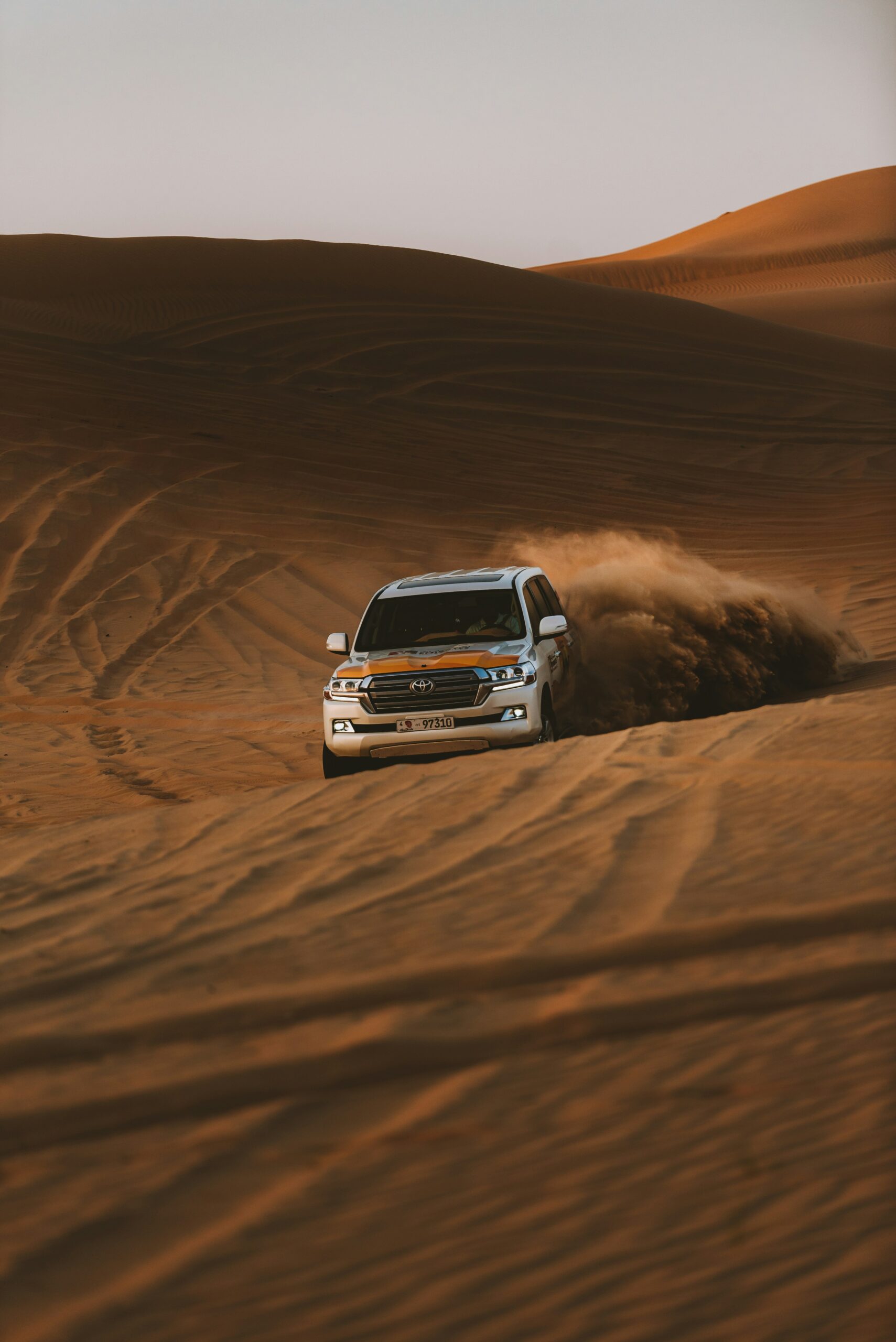 Morning desert safari adventure in Dubai